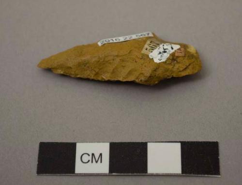 Projectile point