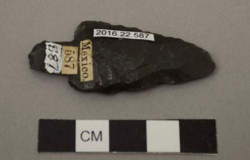 Projectile point