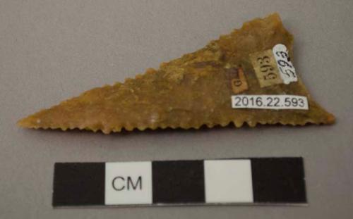 Projectile point