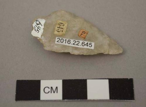 Projectile point