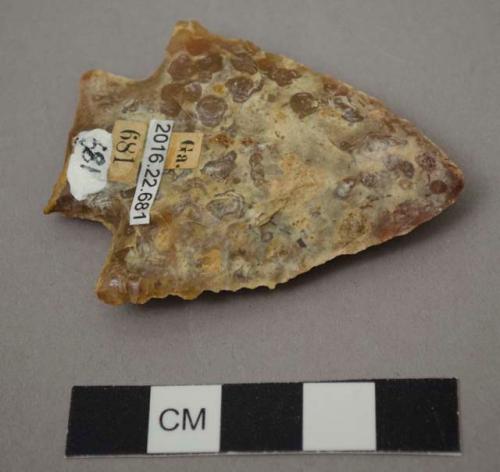 Projectile point