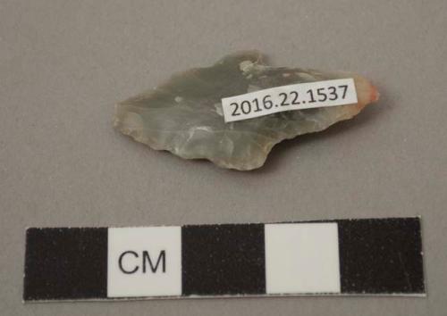 Projectile point