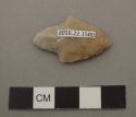 Projectile point