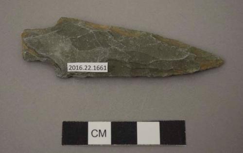 Projectile point