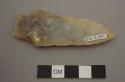 Projectile point