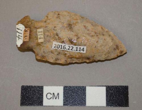 Projectile point