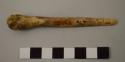 Bone basket tool - 17 Dyn.