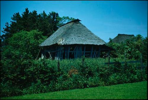 Shed with straw roof