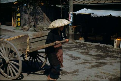 Person pulling cart