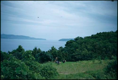 People in field