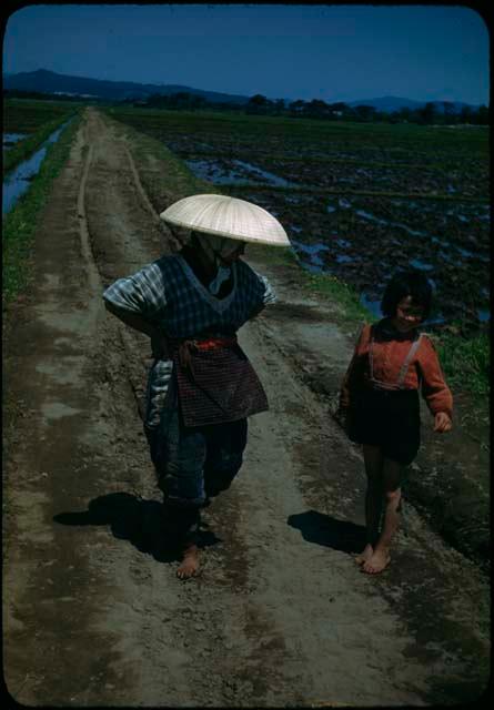 Adult and child standing in road surrounded by rice fields