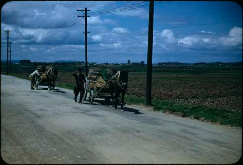 Men with horse-drawn carts