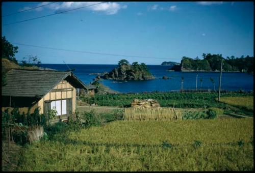 Building and fields