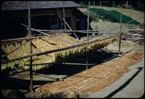 Tobacco drying