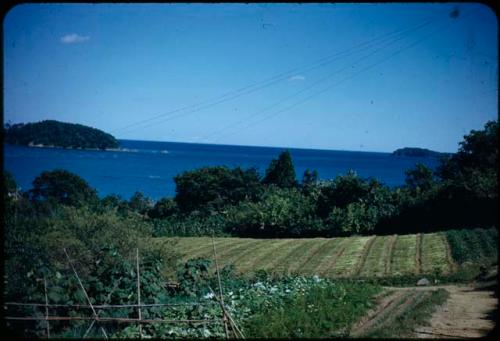 Garden and field, with shoreline in background