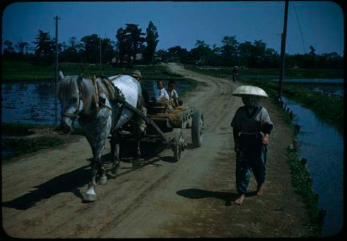 Horse-drawn cart