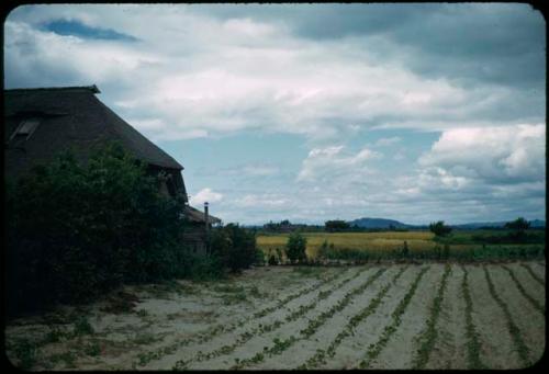 Field and building