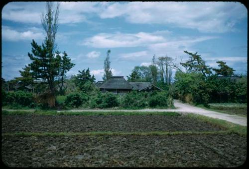 Field and house