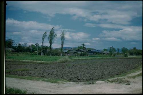 Plowed field, with trees and houses in background