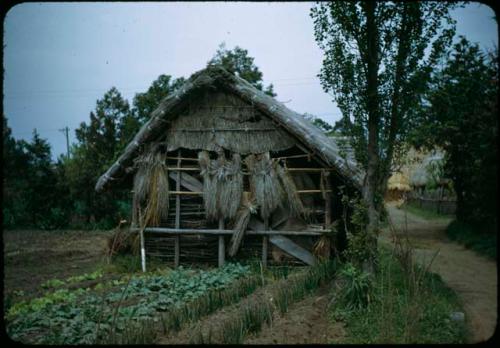 Store house with grain drying on side