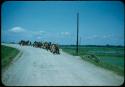 People walking on road