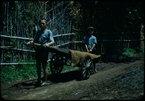 Man pulling cart