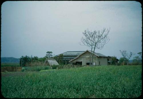 Field, with buildings in background