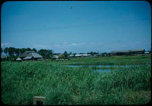 Field, with buildings in background