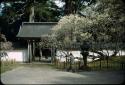 Gate at Buddhist temple