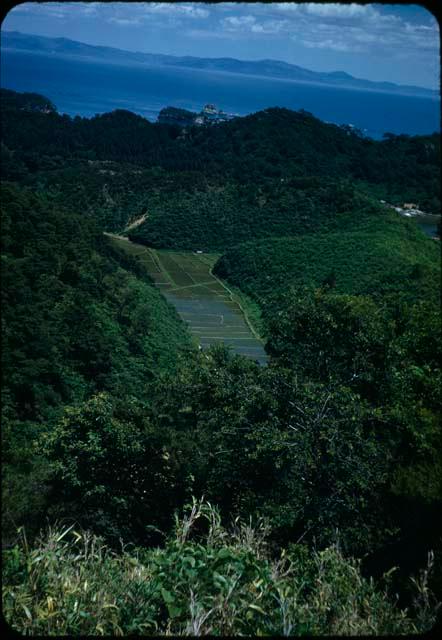 View from Otaka-Mori