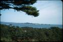 Thousand Islands, Matsushima Bay