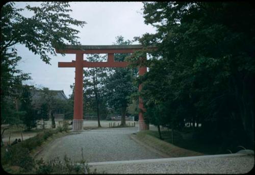 Torii