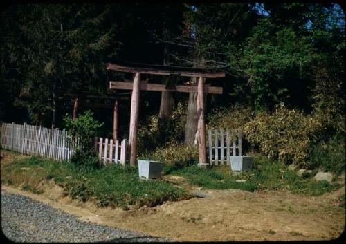 Torii