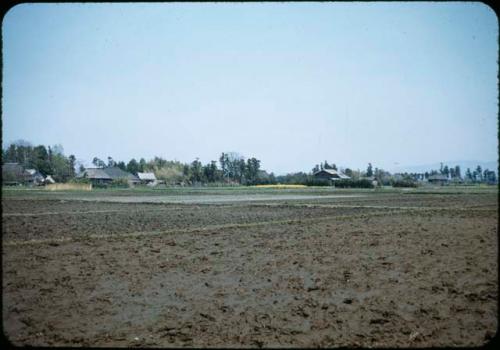 Unplanted rice paddies