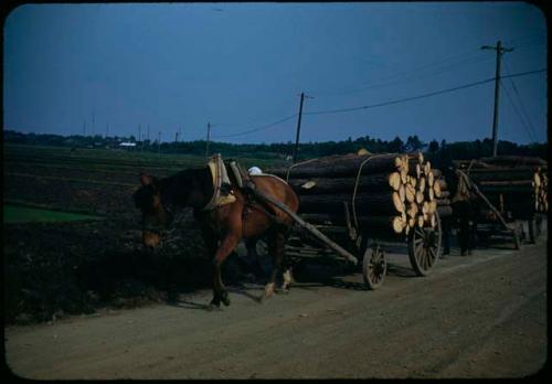 Horse-drawn cart with lumber