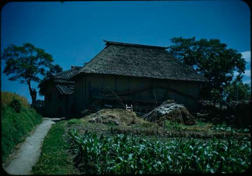 House and garden