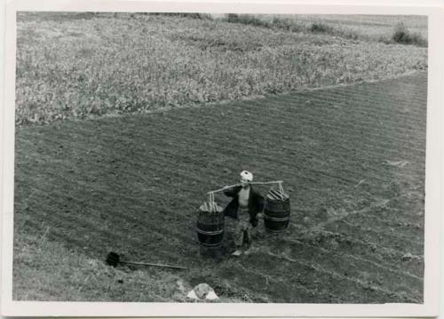 Man carrying buckets of human waste for fertilizer