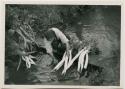 Woman washing daikon radishes in stream