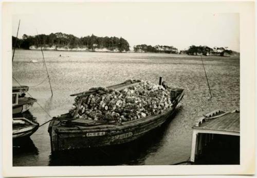 Boat with load of oyster shells