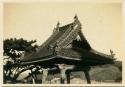 Temple roof