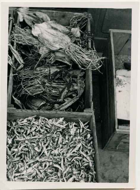 Display of dried squid