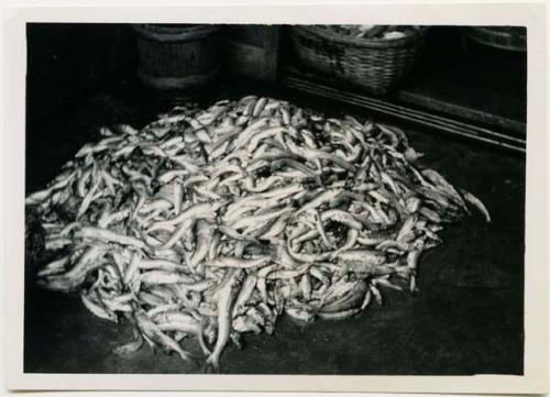 Pile of fish at fish market