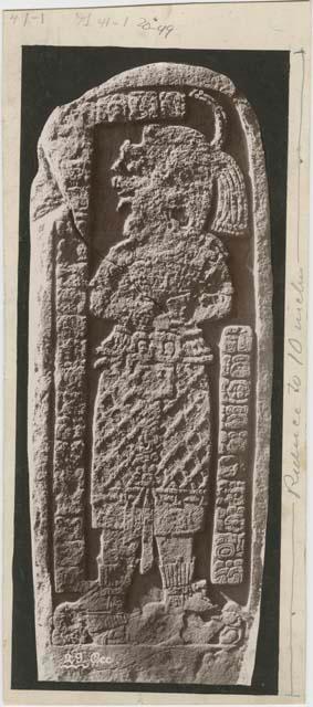 Stela 29, west side showing a high priestess in skirt of reticulated pattern