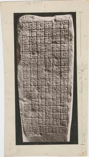 Stela 12, north side showing 96 glyphs