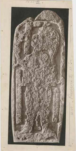 Stela 23, south side