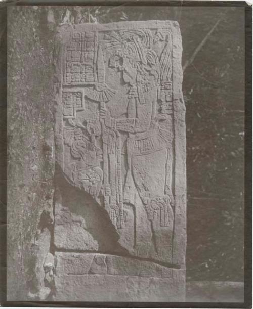 Stela 15 from Structure 41 (South Temple III), showing warrior and captive