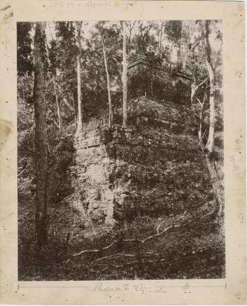 Main temple covered in vegetation