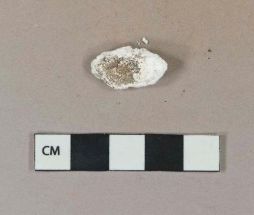 White shell fragment, likely oyster