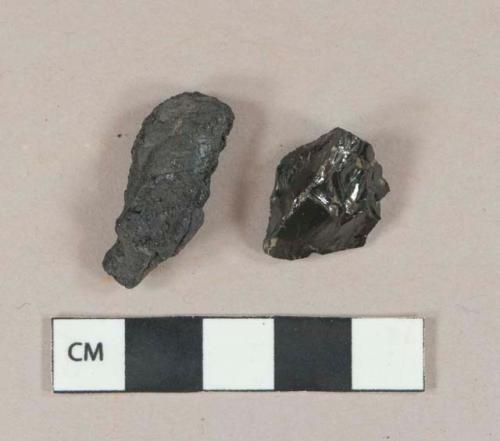 Coal fragments, 1 heavily burned