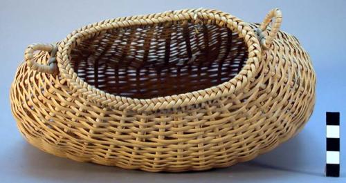 Fish basket